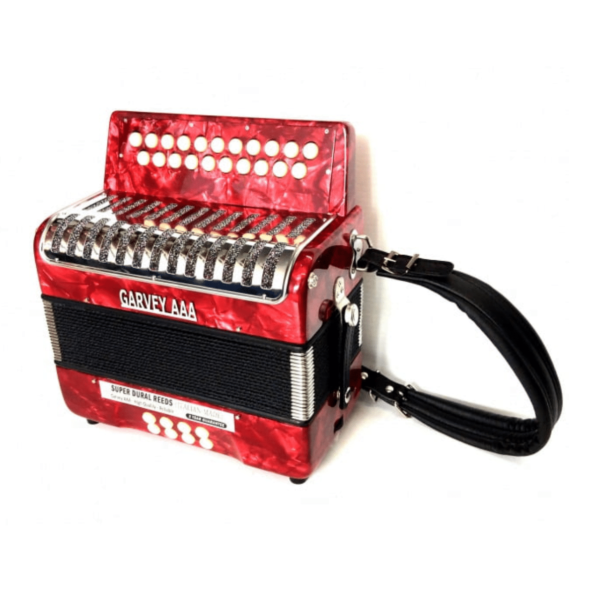 Garvey AAA Accordion Student Level Hugh Culloty Tralee