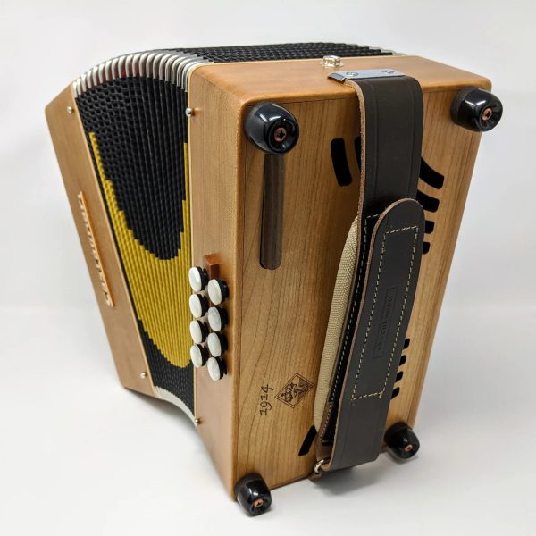 Castagnari Studio Button Accordion - Image 12