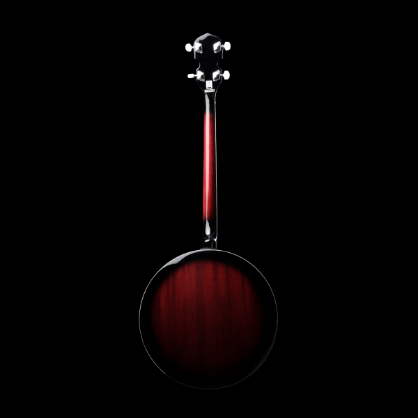 Clareen Bridge Banjo | 17 fret with Hard Case - Image 7