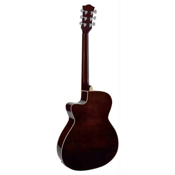 Richwood Artist Series Electro-Acoustic Guitar | Sunburst - Image 4