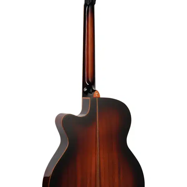 Tanglewood Winterleaf Exotic Guitar (Back)